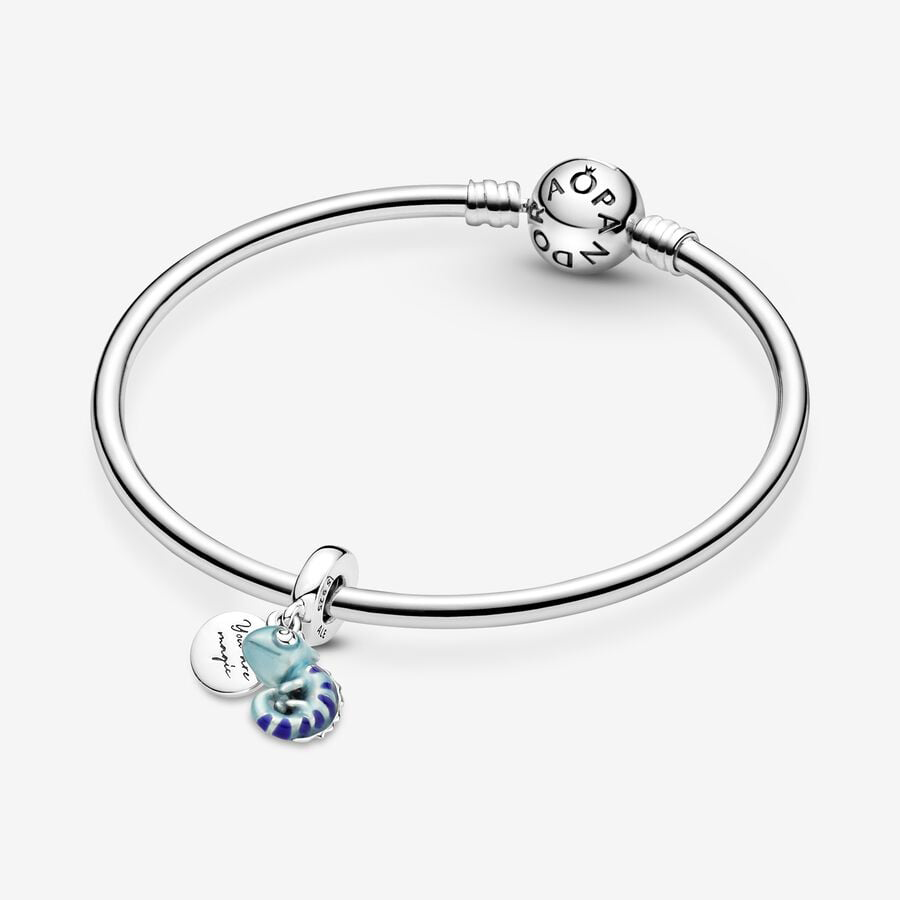 Chameleon Charm