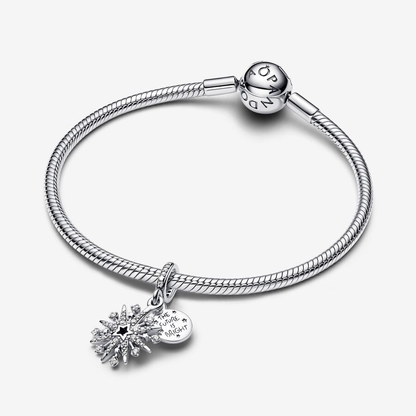 Sparkling Firework Double Charm