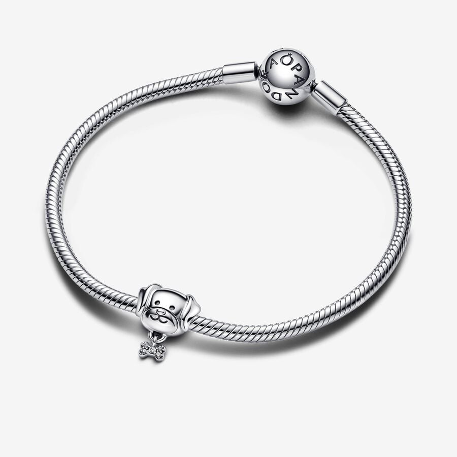 Pet Dog & Bone Charm