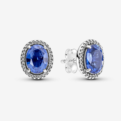 Blue Oval Sparkling Earrings