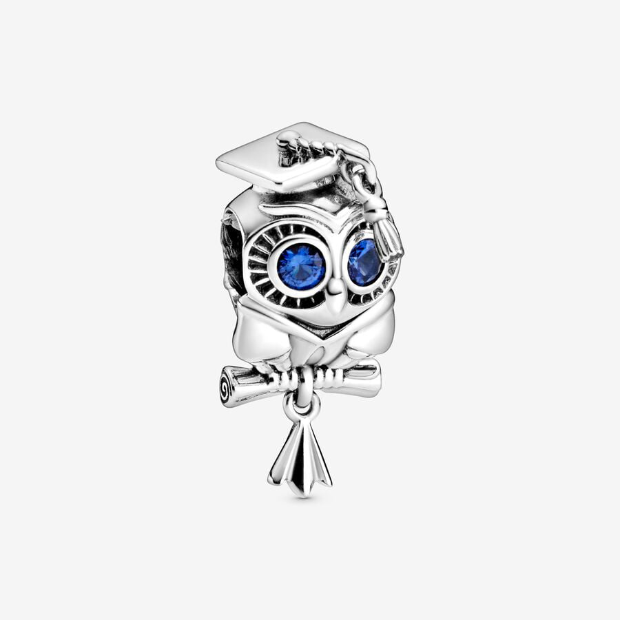 Owl Graduation Charm