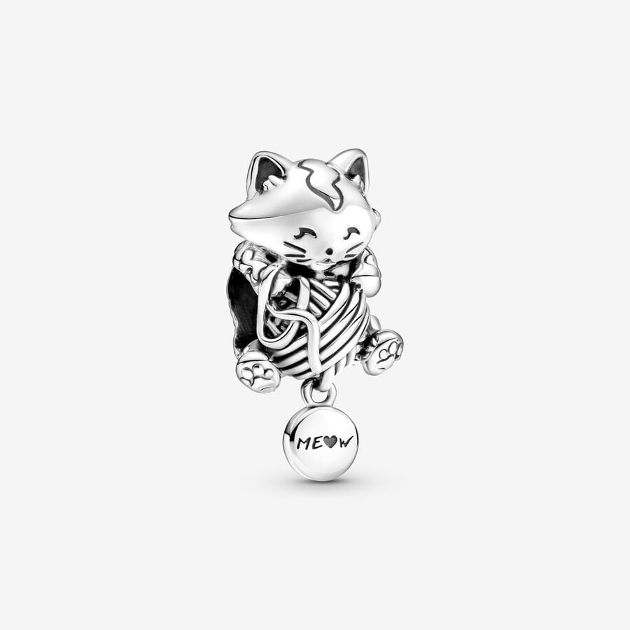 Kitten Charm